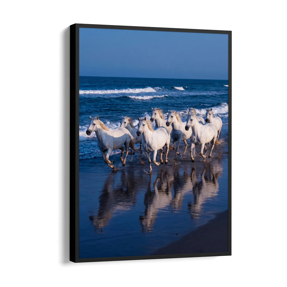 Azure Reflection Gallop - 7 Horses Wall Art
