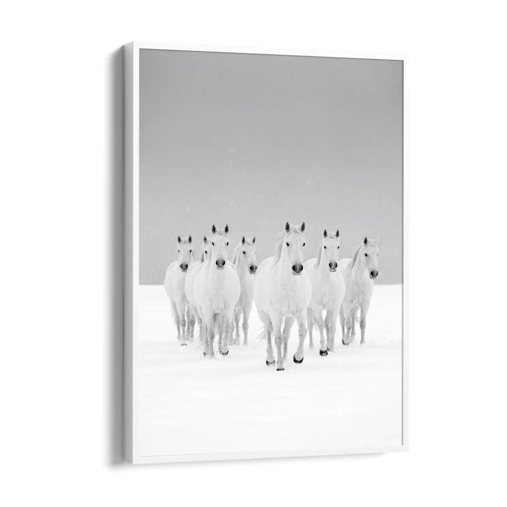 Arctic Frost Gallop — 7 Horses Vastu Art