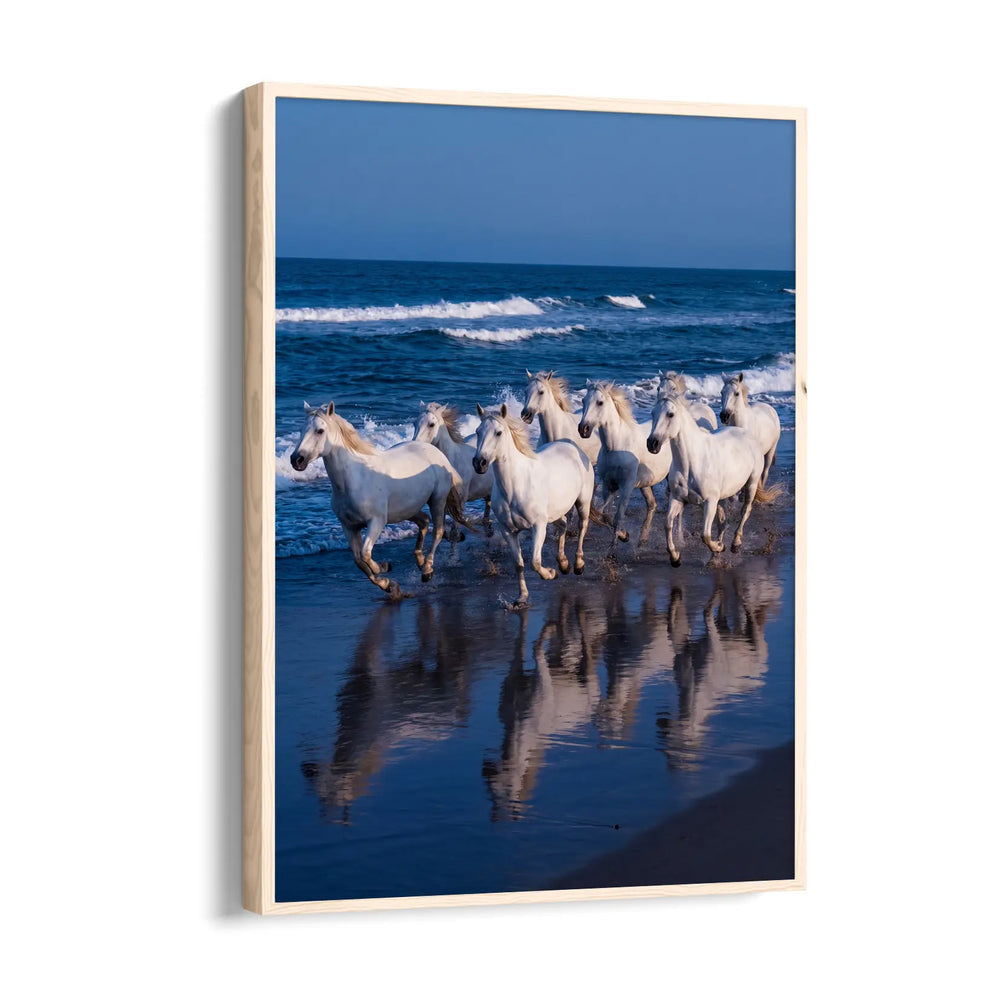 Azure Reflection Gallop - 7 Horses Wall Art