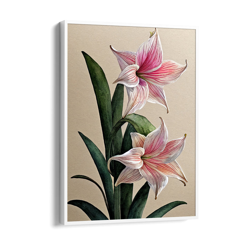 Blush Amaryllis Bloom - Botanical Wall Art