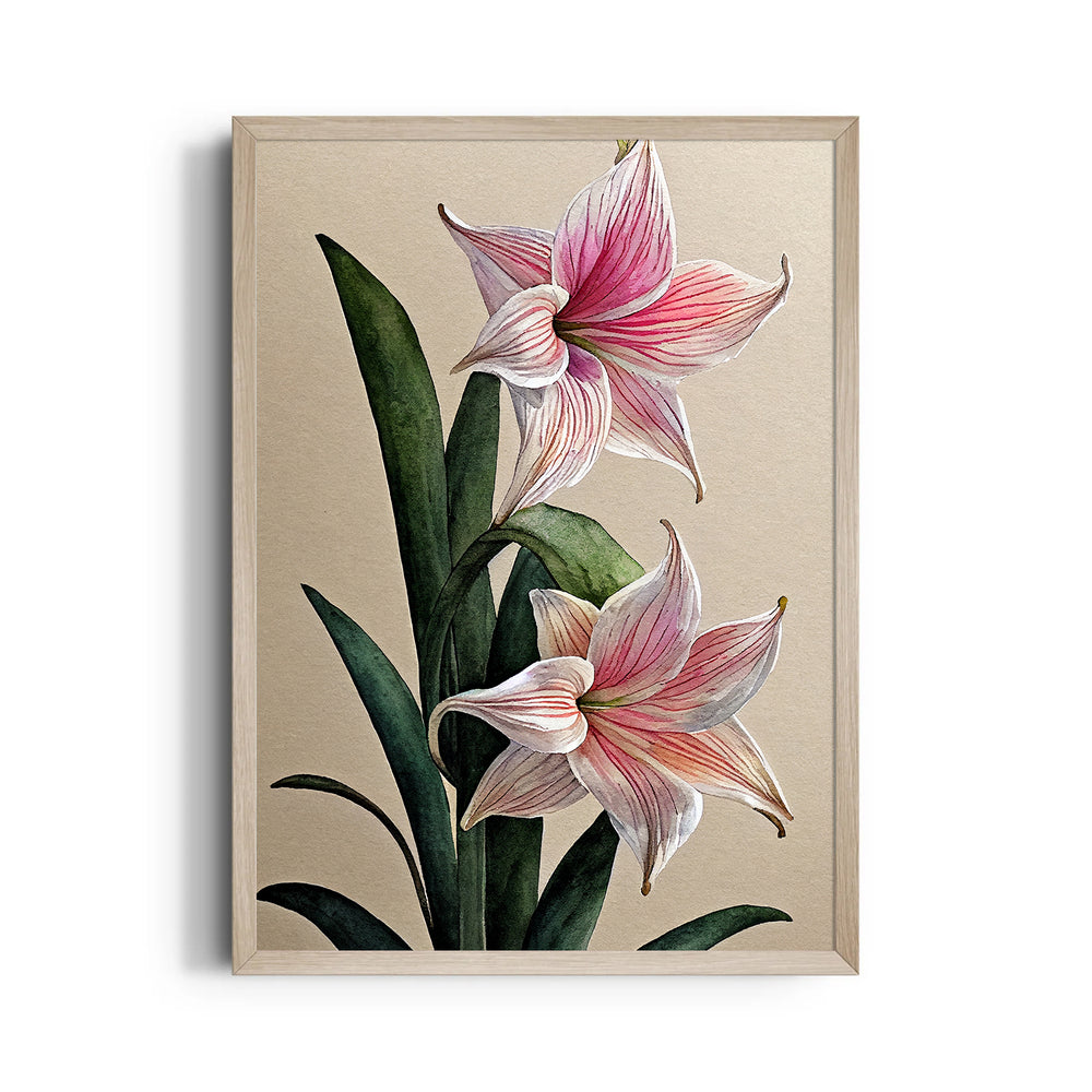 Blush Amaryllis Bloom - Botanical Wall Art