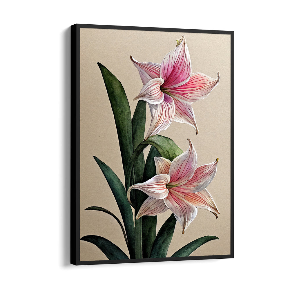 Blush Amaryllis Bloom - Botanical Wall Art