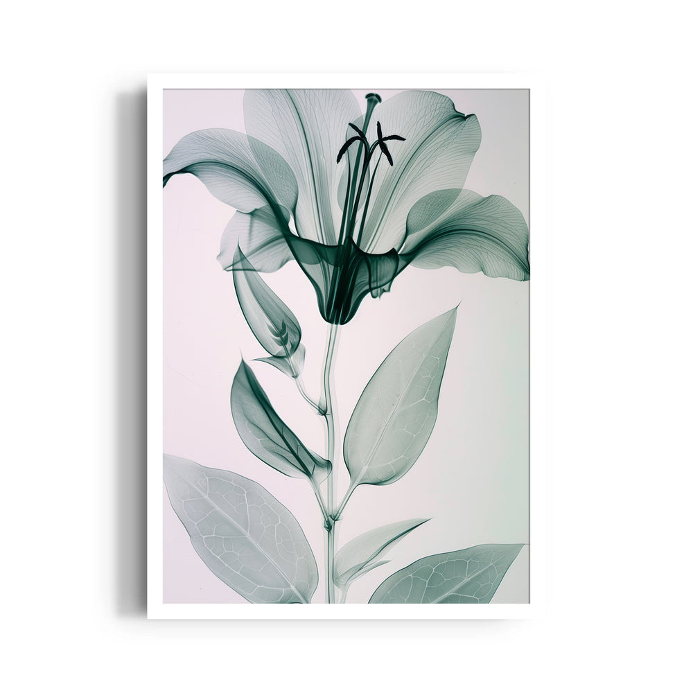 Ethereal Glass Lily - Botanical Wall Art - Pillow Fights