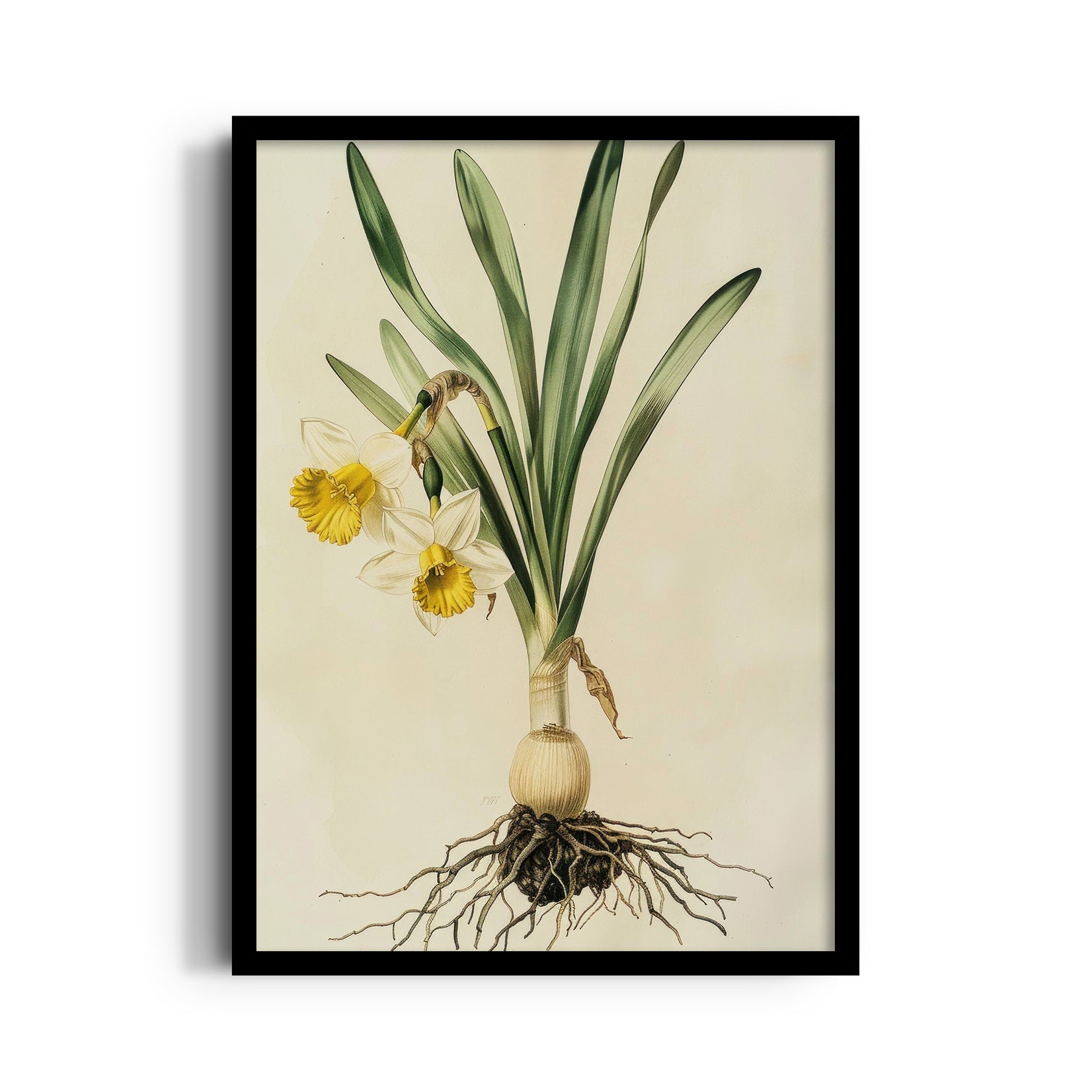 Golden Daffodil Heritage - Botanical Wall Art