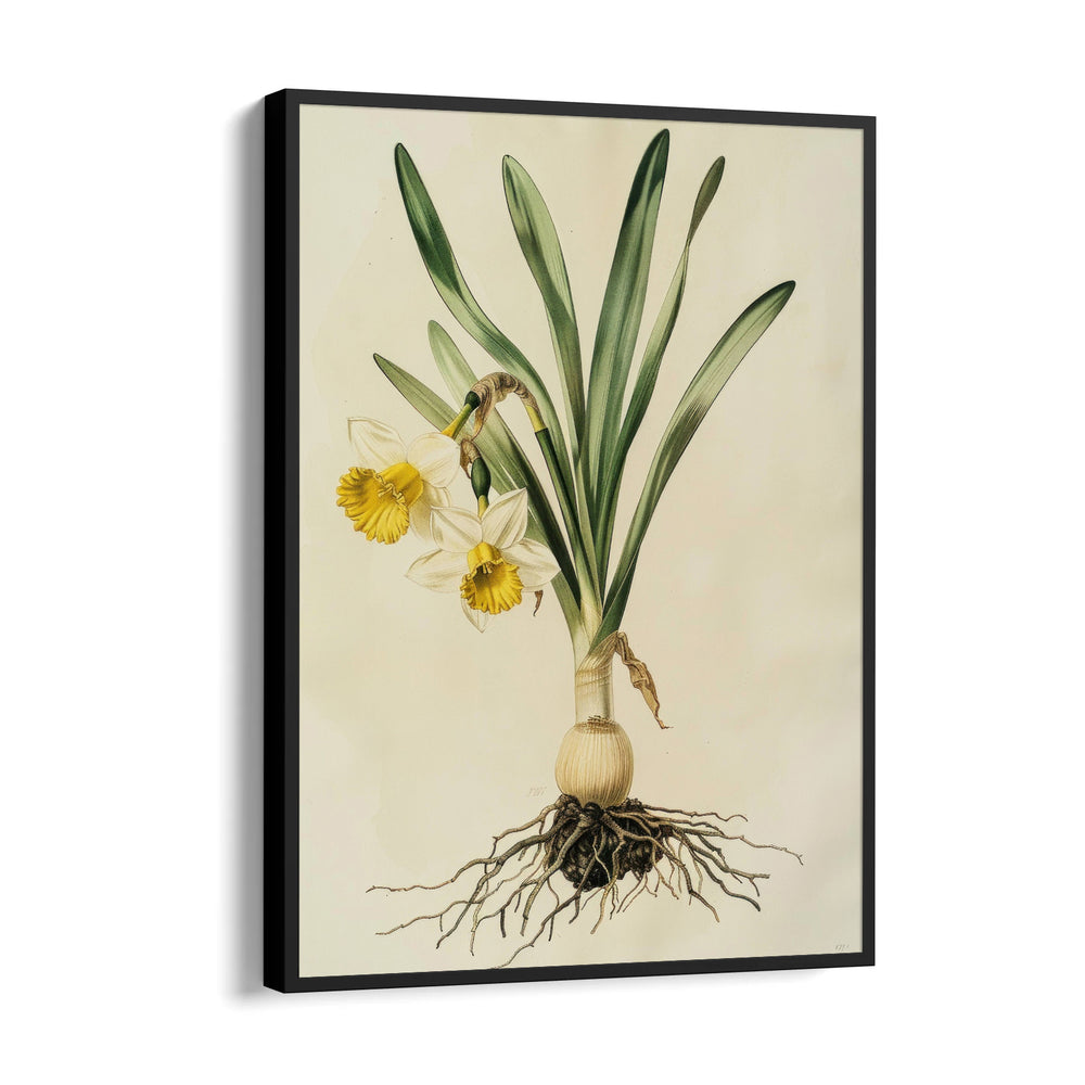 Golden Daffodil Heritage - Botanical Wall Art