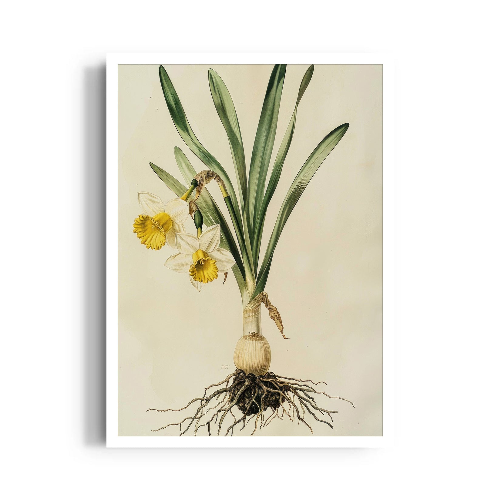 Golden Daffodil Heritage - Botanical Wall Art