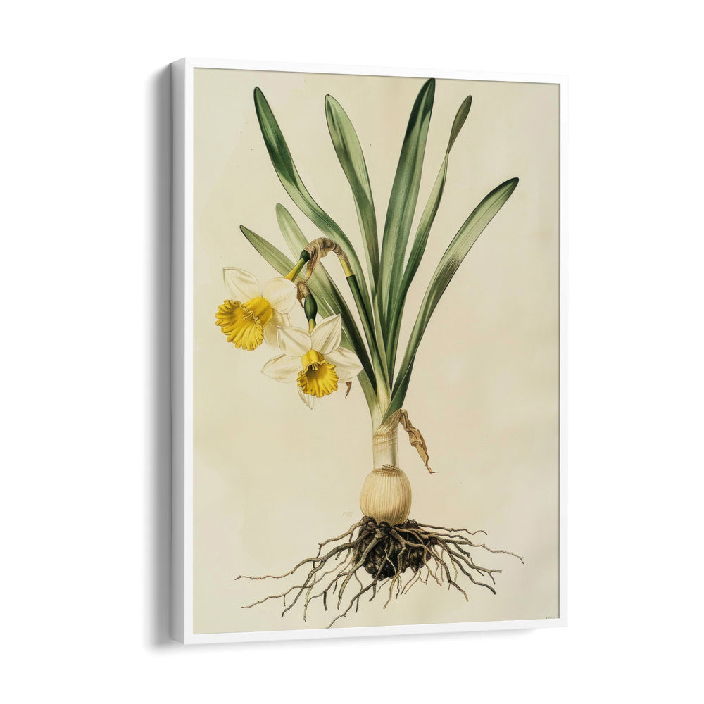 Golden Daffodil Heritage - Botanical Wall Art