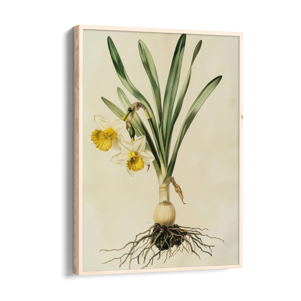 Golden Daffodil Heritage - Botanical Wall Art