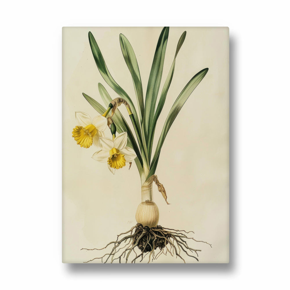 Golden Daffodil Heritage - Botanical Wall Art