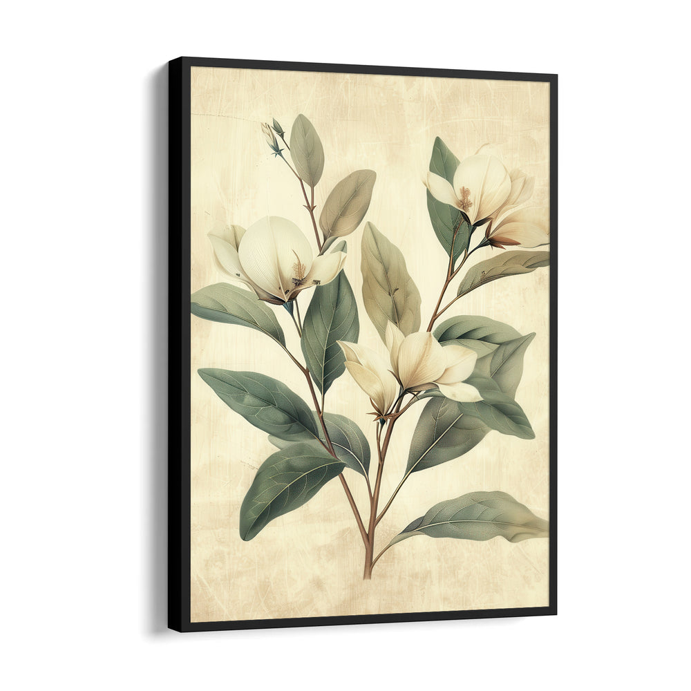 Magnolia Serenity - Botanical Wall Art