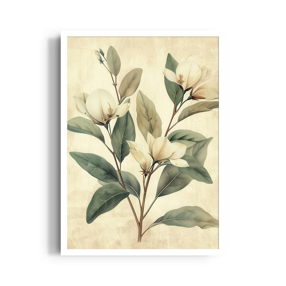 Magnolia Serenity - Botanical Wall Art
