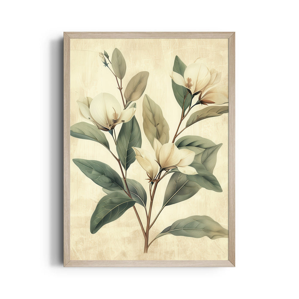 Magnolia Serenity - Botanical Wall Art