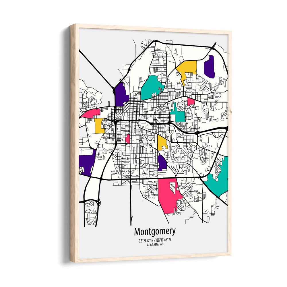 Montgomery Vibrant Districts - street map wall art - Pillow Fights
