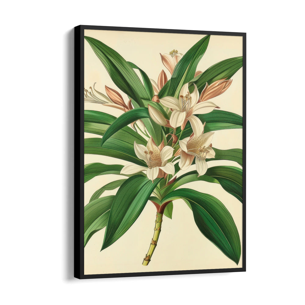 Saffron Lily Bloom - Botanical Wall Art - Pillow Fights