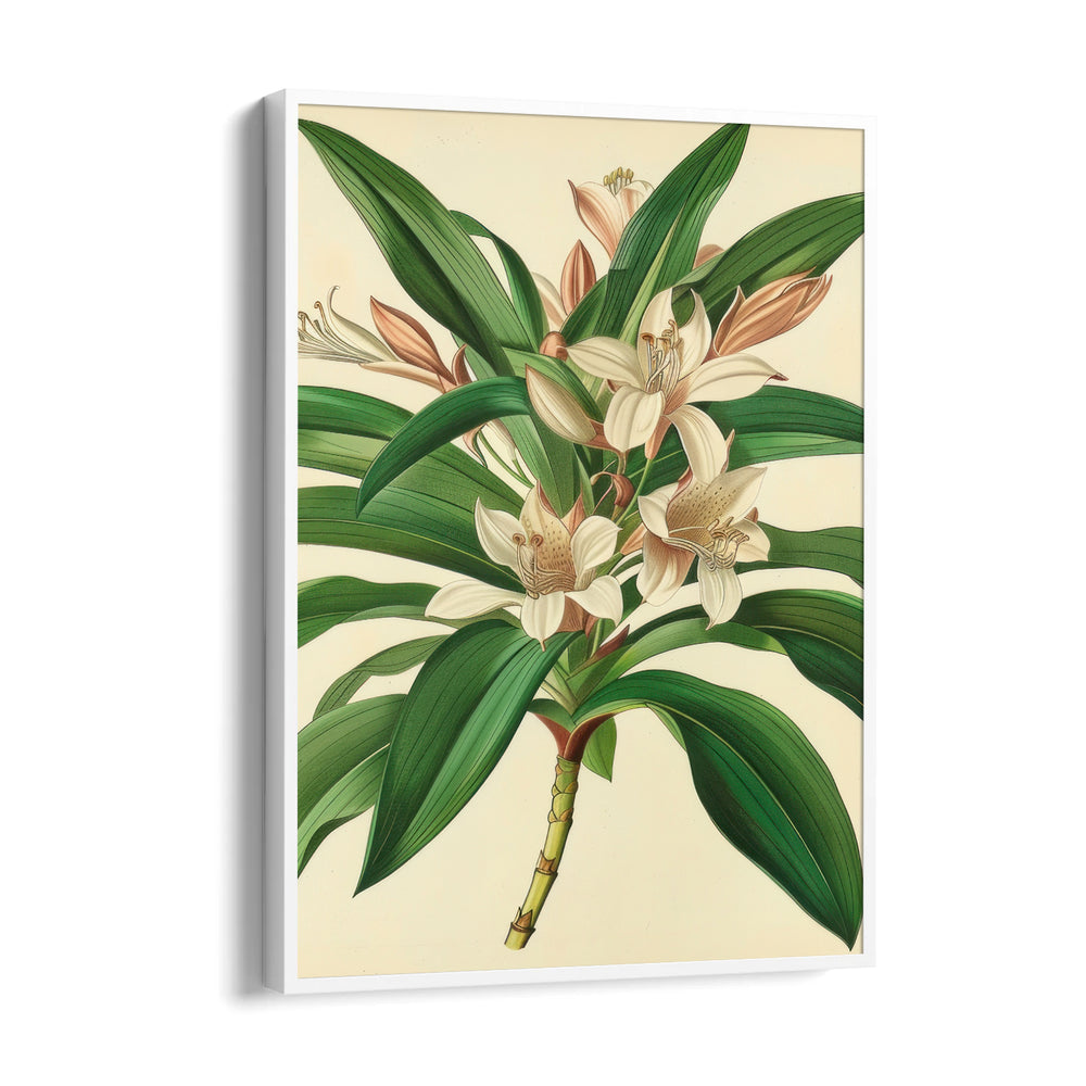 Saffron Lily Bloom - Botanical Wall Art - Pillow Fights