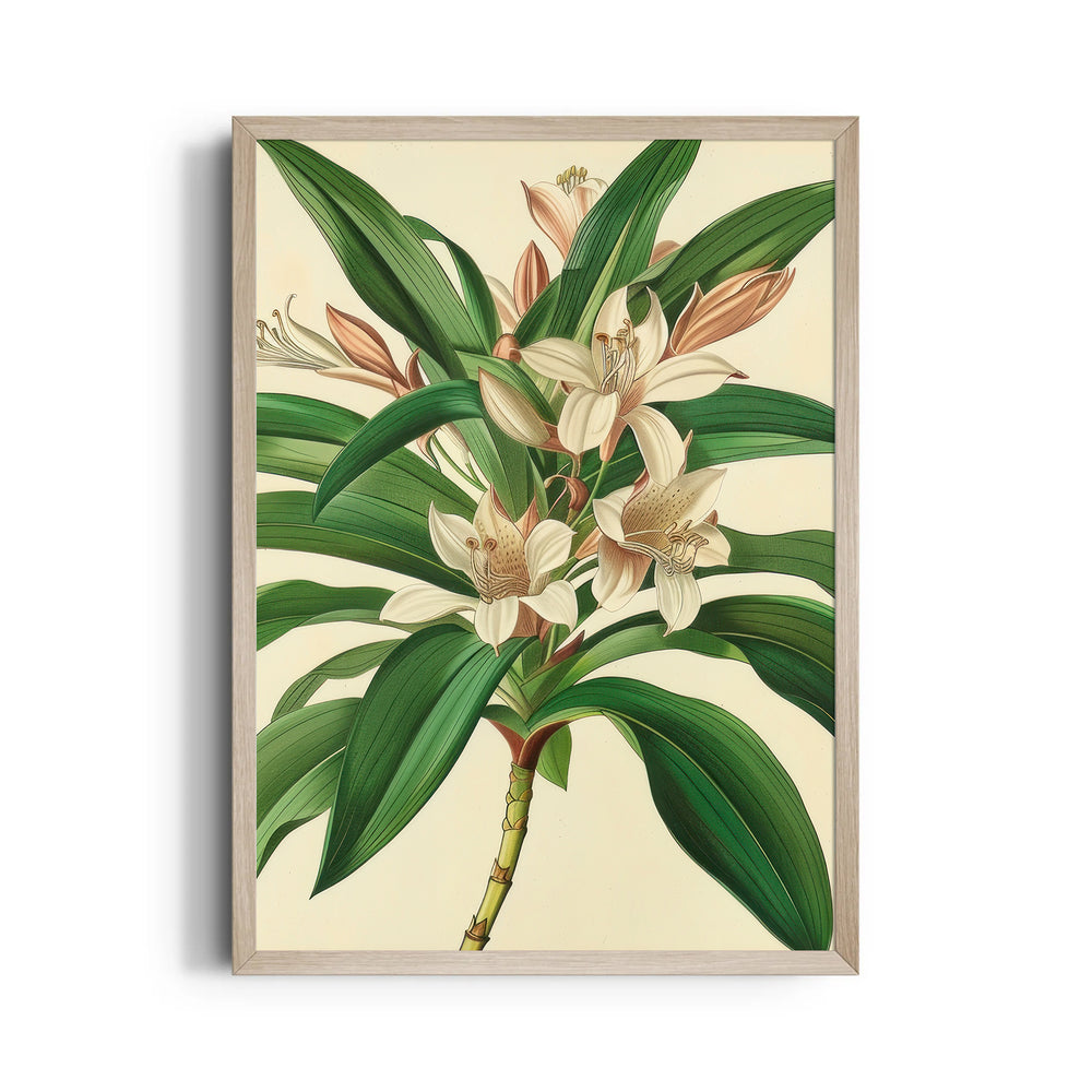 Saffron Lily Bloom - Botanical Wall Art - Pillow Fights