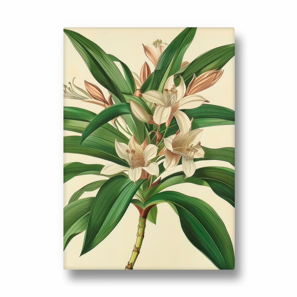 Saffron Lily Bloom - Botanical Wall Art - Pillow Fights
