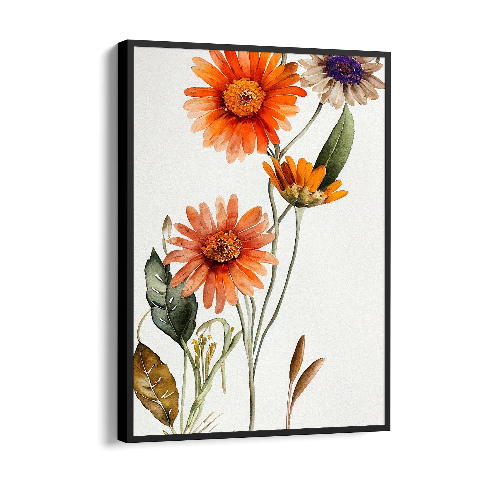 Sunset Daisy Bloom - Botanical Wall Art