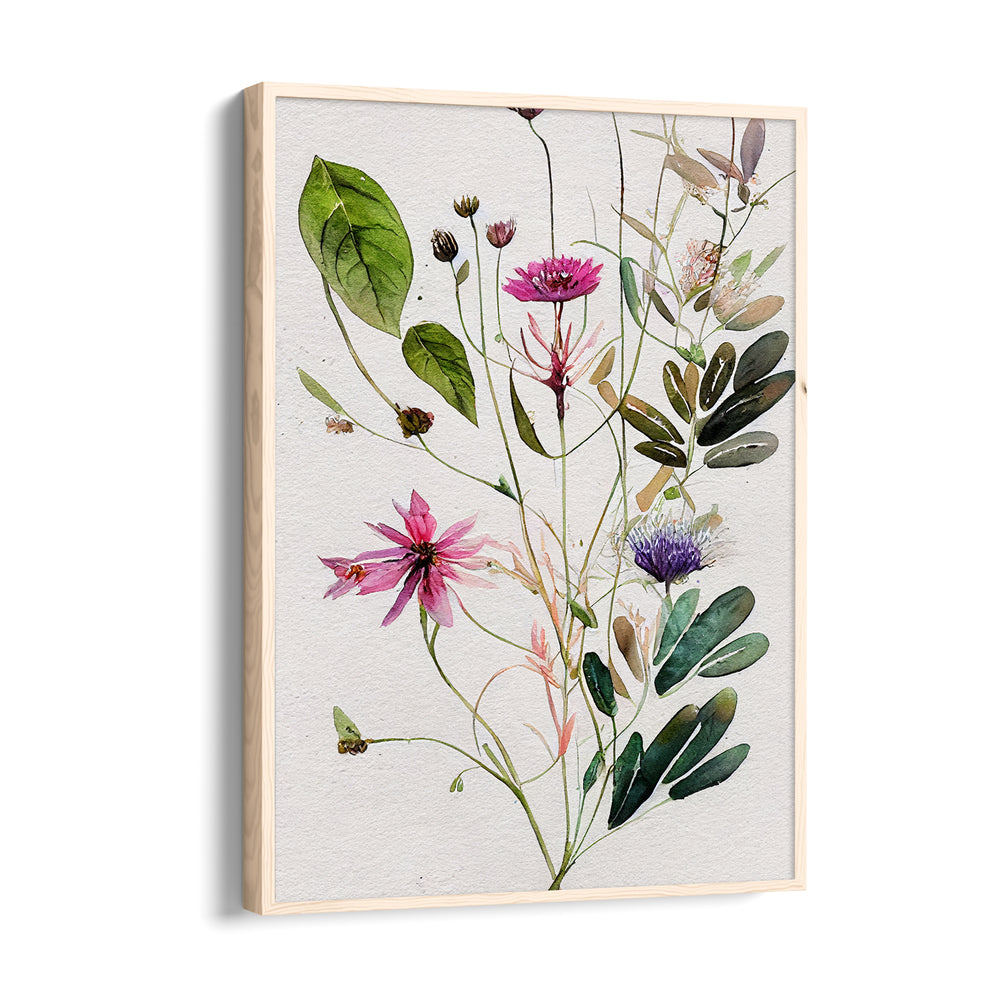 Wildflower Botanical Study - Botanical Wall Art