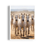 Outback — 7 Horses Vastu Art