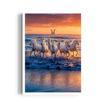 Majestic Shoreline Sprint - 7 Horses Wall Art