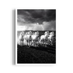 Stormborn Spirits — 7 Horses Wall Art