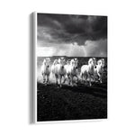 Stormborn Spirits — 7 Horses Wall Art