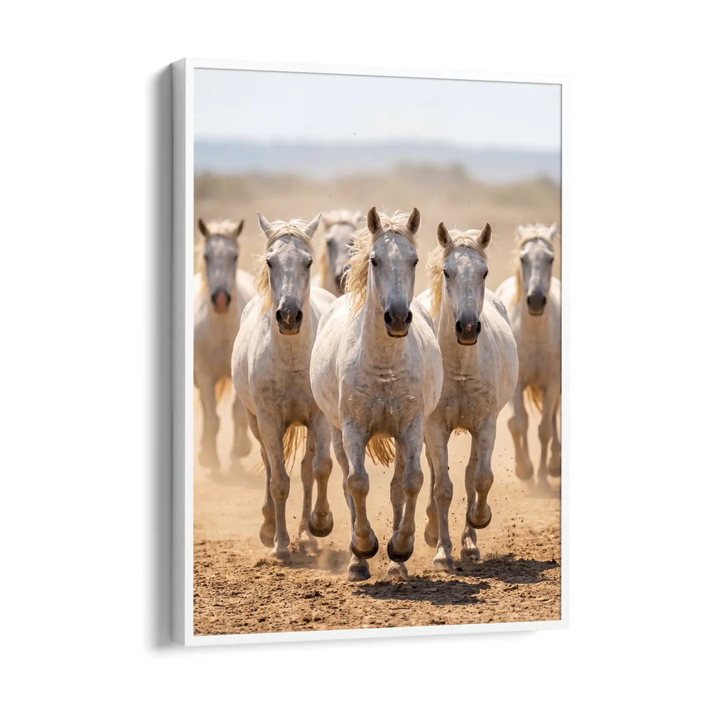 Outback — 7 Horses Vastu Art