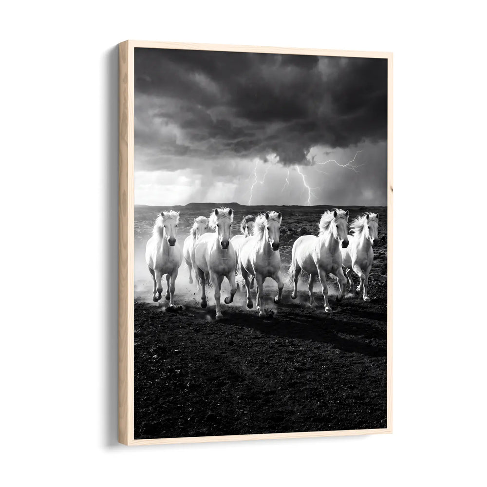 Stormborn Spirits — 7 Horses Wall Art
