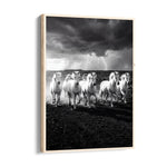 Stormborn Spirits — 7 Horses Wall Art