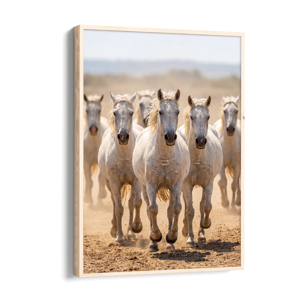 Outback — 7 Horses Vastu Art