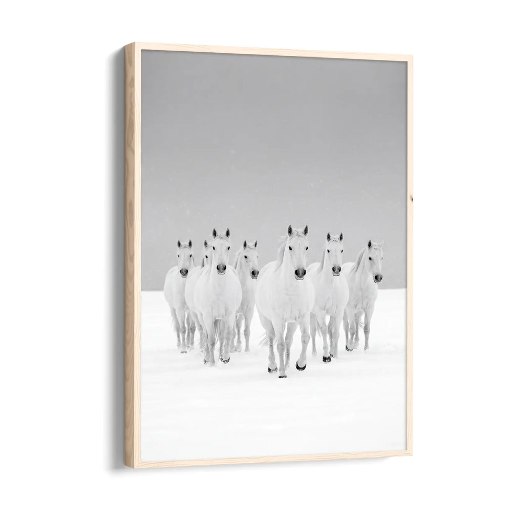 Arctic Frost Gallop — 7 Horses Vastu Art