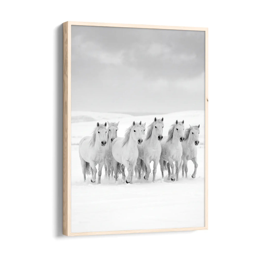 Winter Tundra Strength — 7 Horses Vastu Art