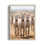 Outback — 7 Horses Vastu Art