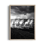 Stormborn Spirits — 7 Horses Wall Art