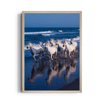 Azure Reflection Gallop - 7 Horses Wall Art
