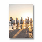 Oceanic Dawn Gallop — 7 Horses Wall Art
