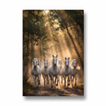 Radiant Woodland Sprint — 7 Horses Vastu Art