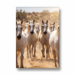 Savanna — 7 Horses Vastu Art