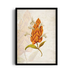 Amber Torch Blossom - Botanical Wall Art