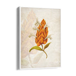 Amber Torch Blossom - Botanical Wall Art