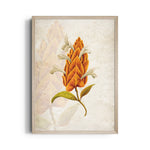 Amber Torch Blossom - Botanical Wall Art