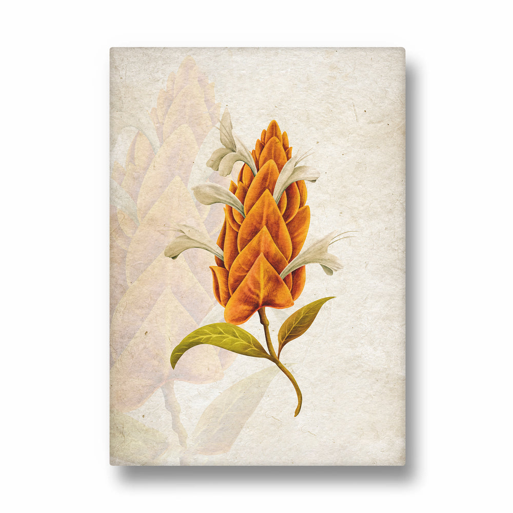 Amber Torch Blossom - Botanical Wall Art