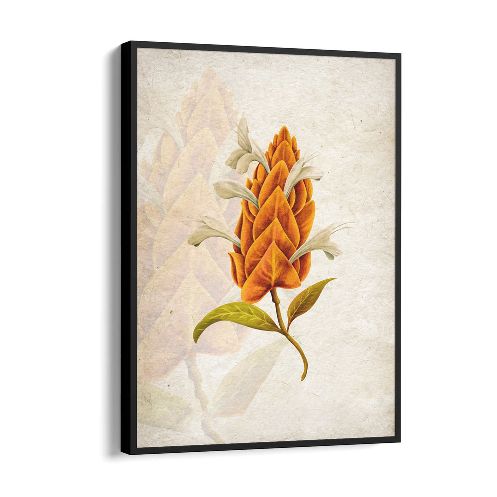 Amber Torch Blossom - Botanical Wall Art