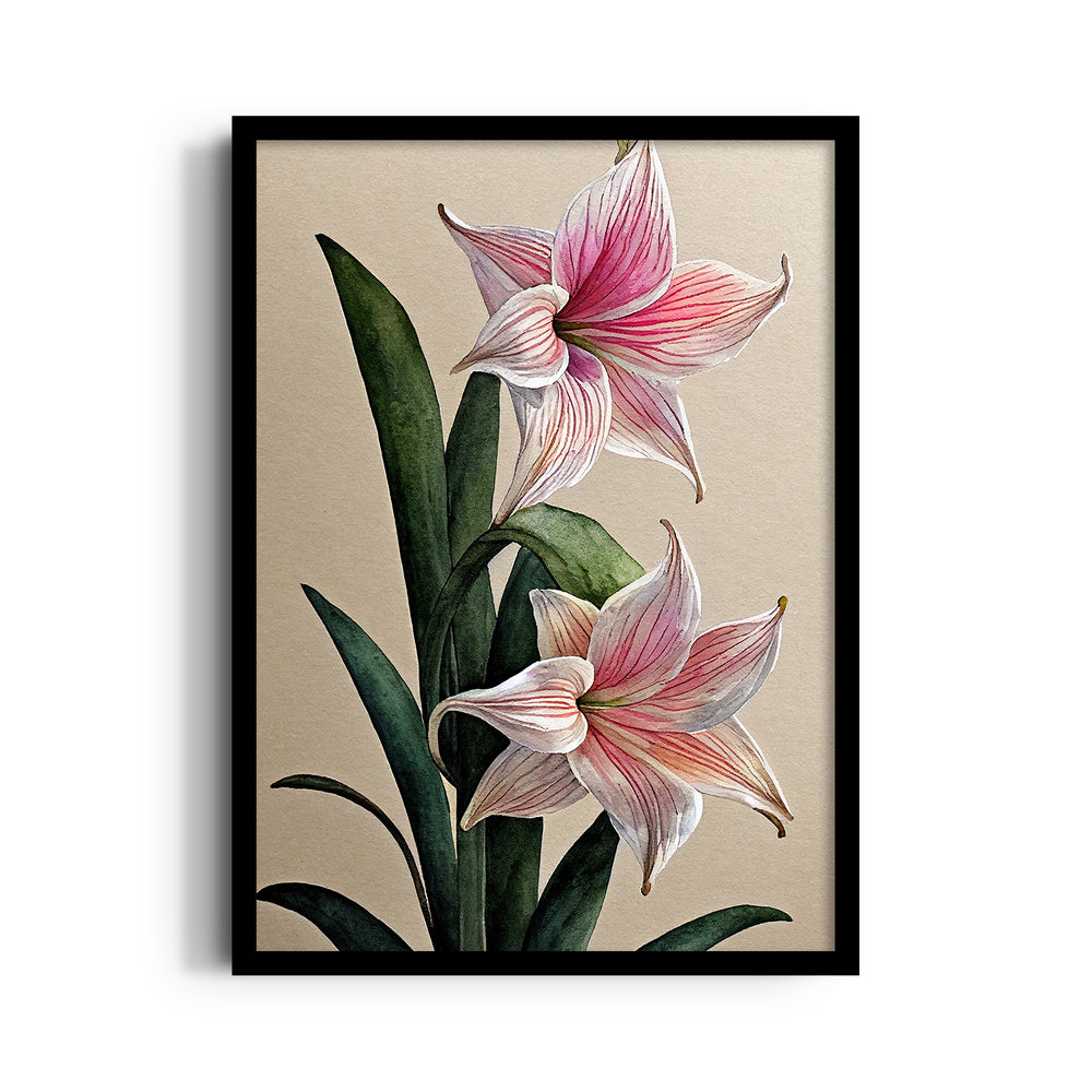 Blush Amaryllis Bloom - Botanical Wall Art