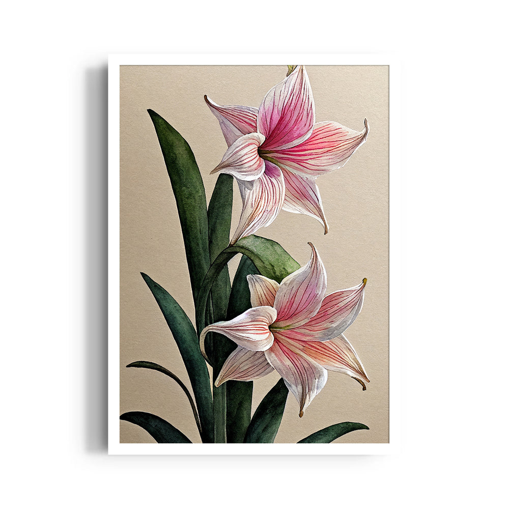 Blush Amaryllis Bloom - Botanical Wall Art