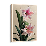 Blush Amaryllis Bloom - Botanical Wall Art
