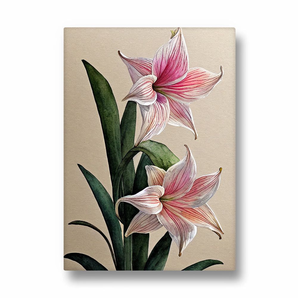 Blush Amaryllis Bloom - Botanical Wall Art