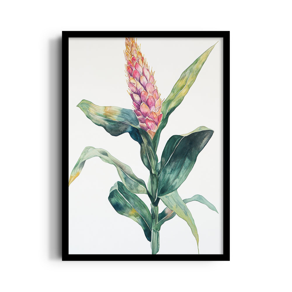 Blush Ginger Bloom - Botanical Wall Art