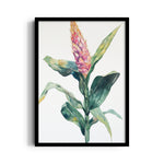 Blush Ginger Bloom - Botanical Wall Art